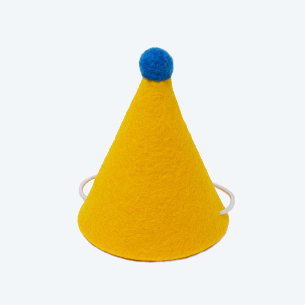 Colorful Wool Felt “PAWTY” Hat with Pom Pom – Festive Fun