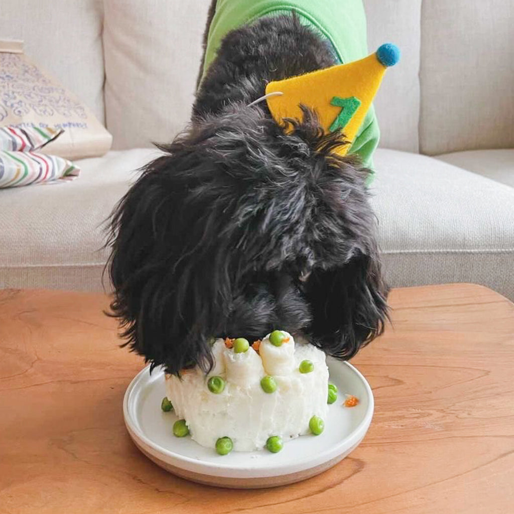 Personalized Green Number Pawty Hat for Dogs & Cats