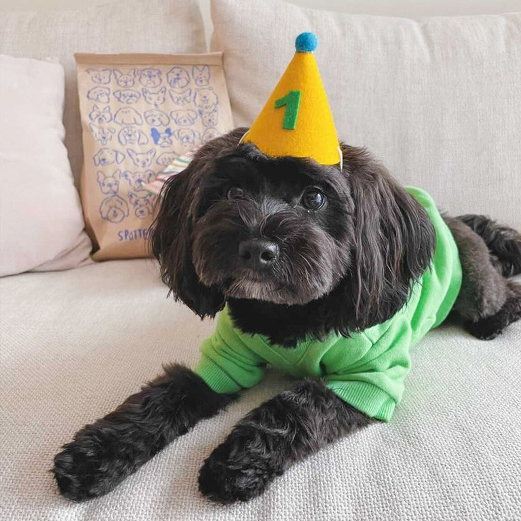 Personalized Green Number Pawty Hat for Dogs & Cats