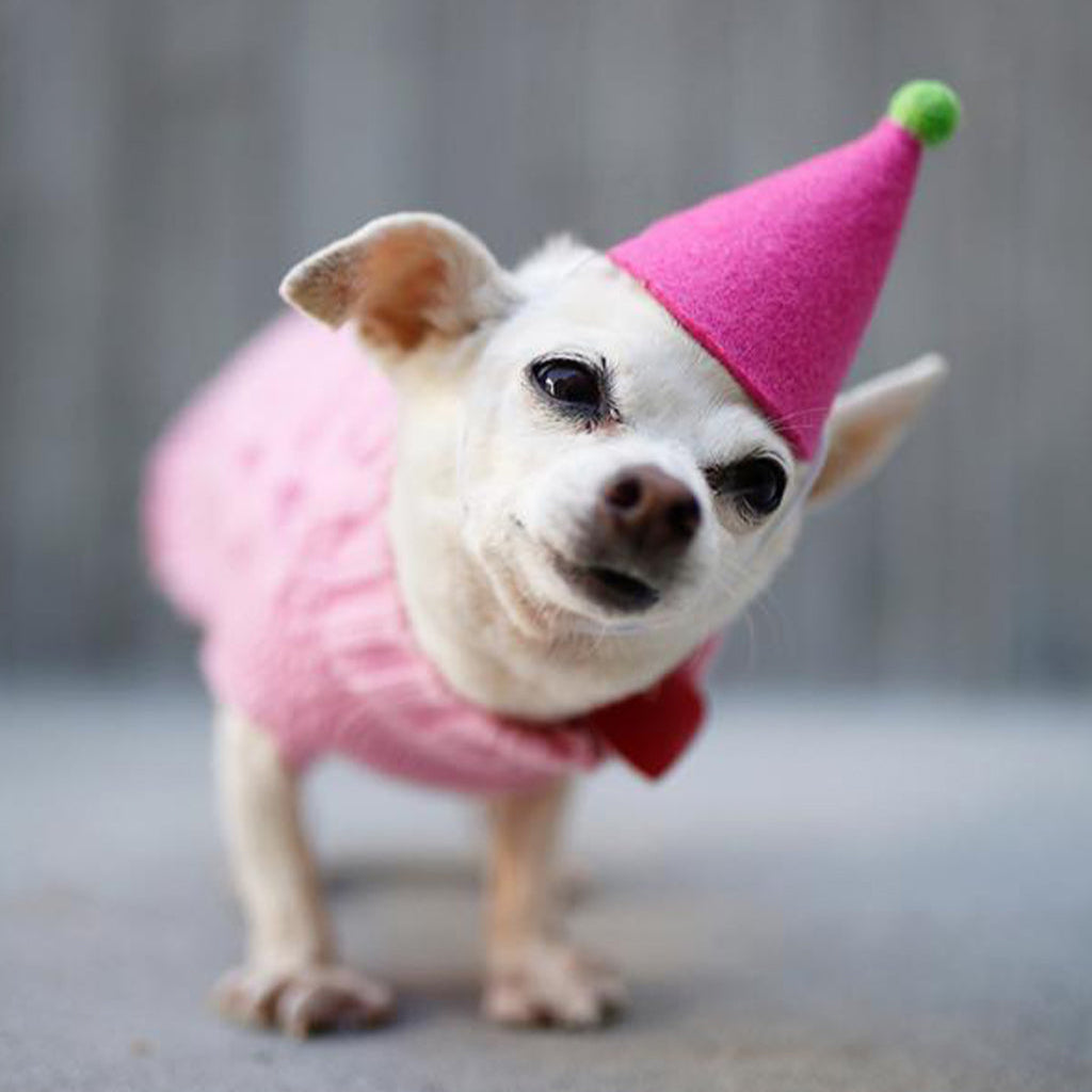 Colorful Wool Felt “PAWTY” Hat with Pom Pom – Festive Fun