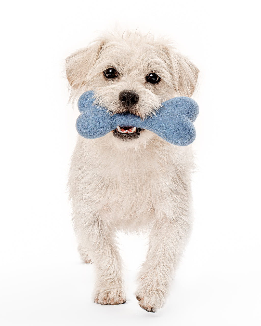 Eco-Friendly MB Woolbone – Durable Natural Wool Dog Fetch Toy