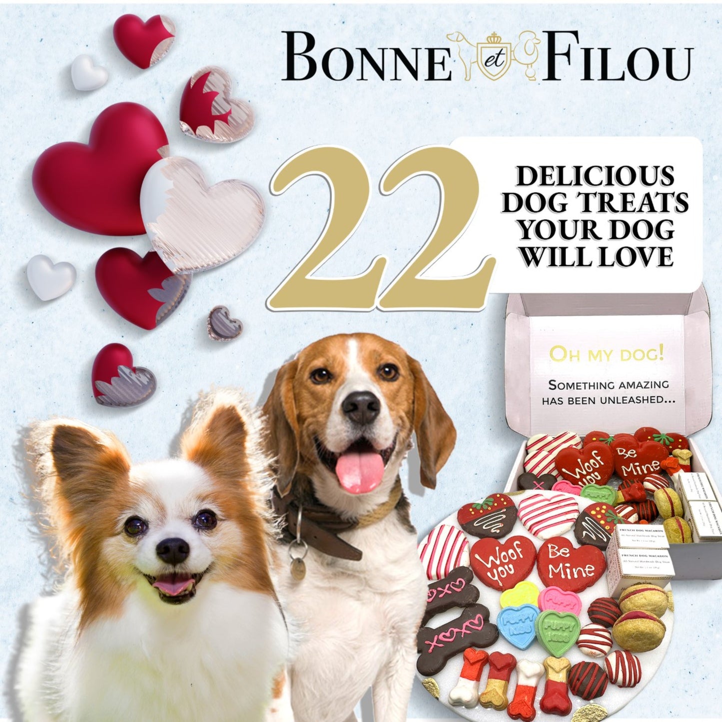 Love My Dog Gourmet Treat Box – 22 Handmade Pet Delights